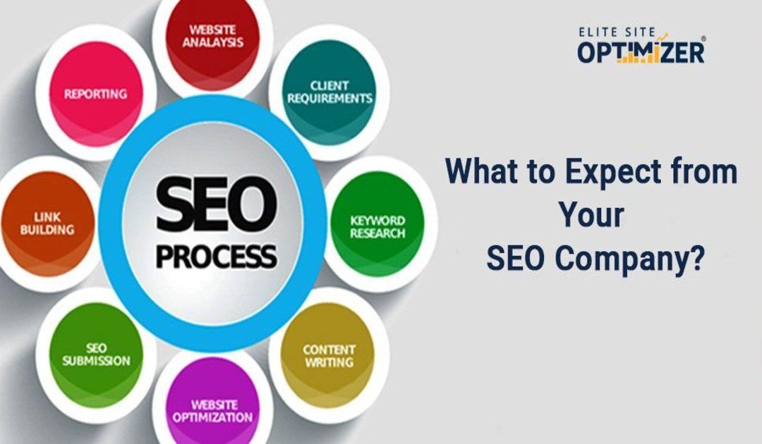 What to Expect from Your SEO Company?